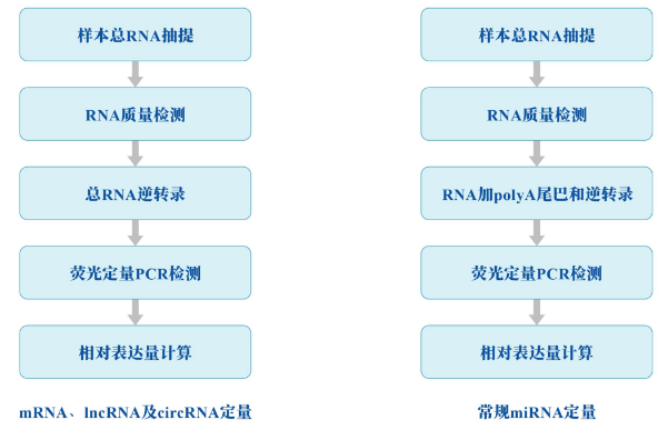 微信44图片_20231226163514.png